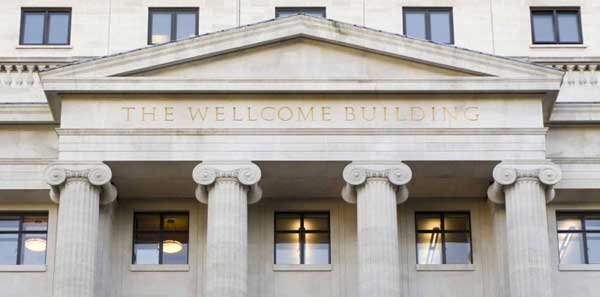 Roman Ionic Wood Columns